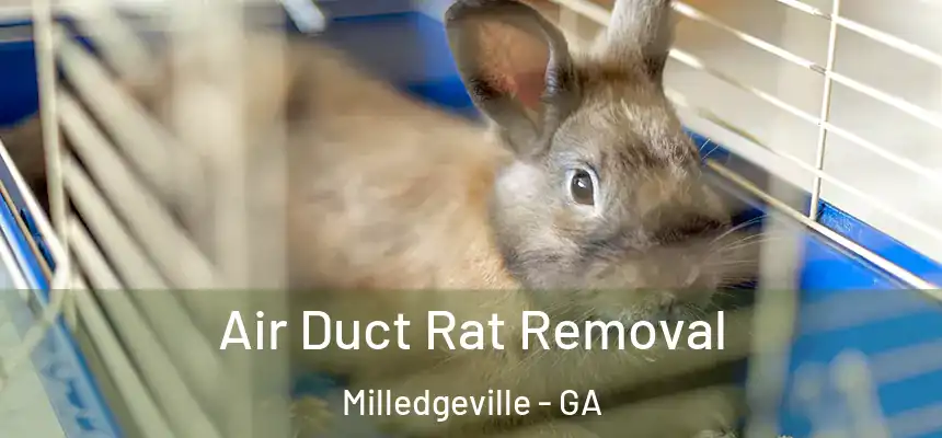 Air Duct Rat Removal Milledgeville - GA