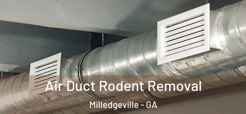  Air Duct Rodent Removal Milledgeville - GA