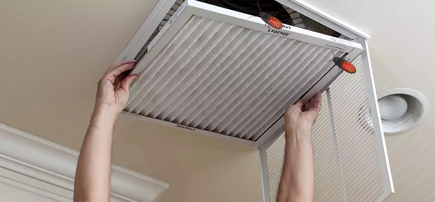 Our Insect Removal from Air Ducts Services in Milledgeville, GA