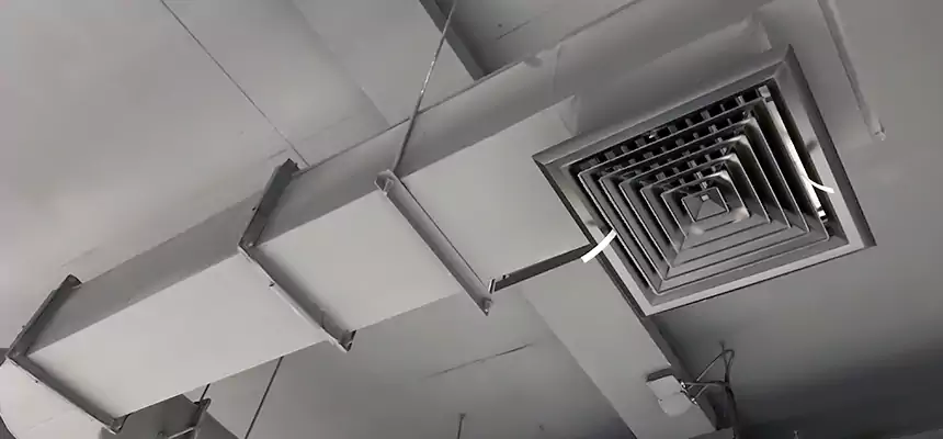 Our Pest Removal From Ducts Services in Milledgeville, GA