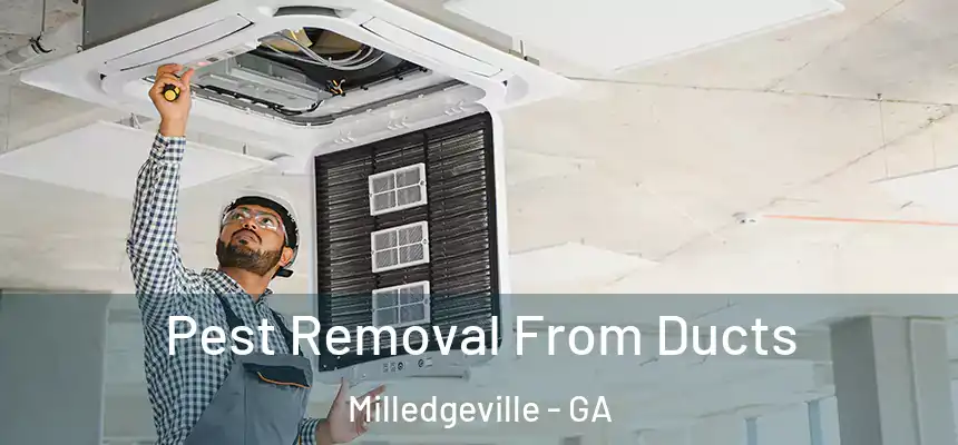 Pest Removal From Ducts Milledgeville - GA