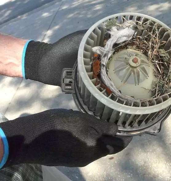 About Air Duct Mice Removal in Milledgeville, GA