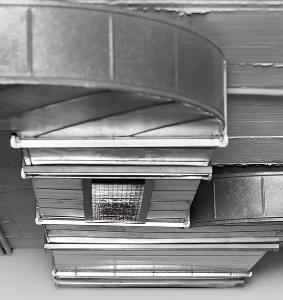 Professional Air Duct Pest Removal in Milledgeville, GA