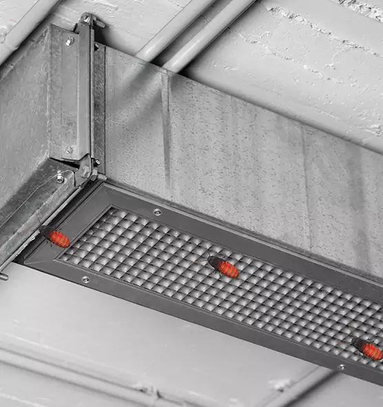 Affordable Insect Removal from Air Ducts in Milledgeville, GA