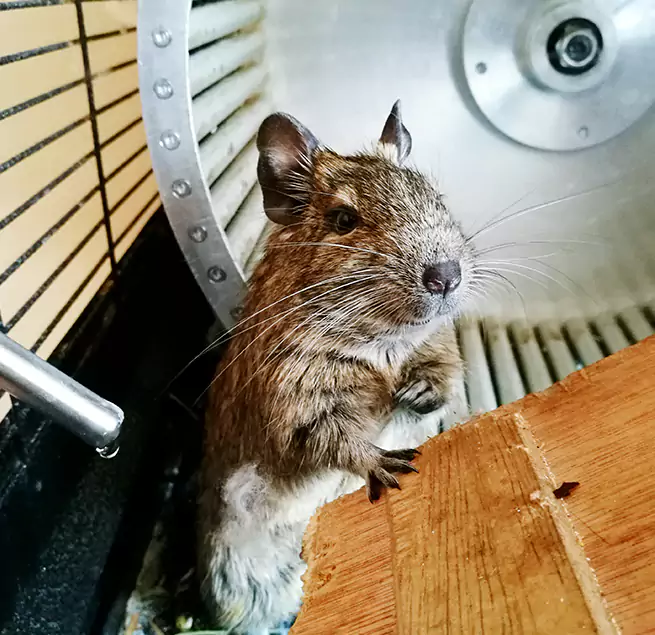 Why Homeowners & Businesses Trust Us Milledgeville, GA?