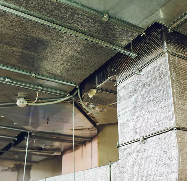 Why Homeowners & Businesses Trust Us in Milledgeville, GA?